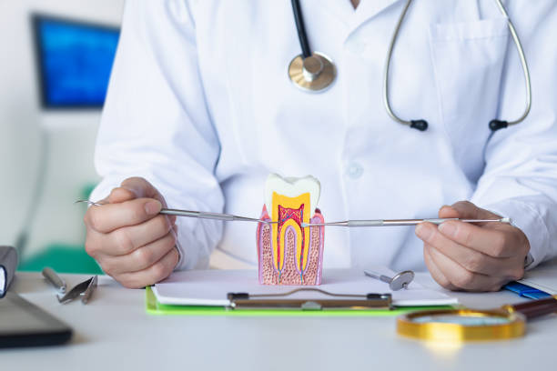 Best Emergency Denture Repair in Anacoco, LA